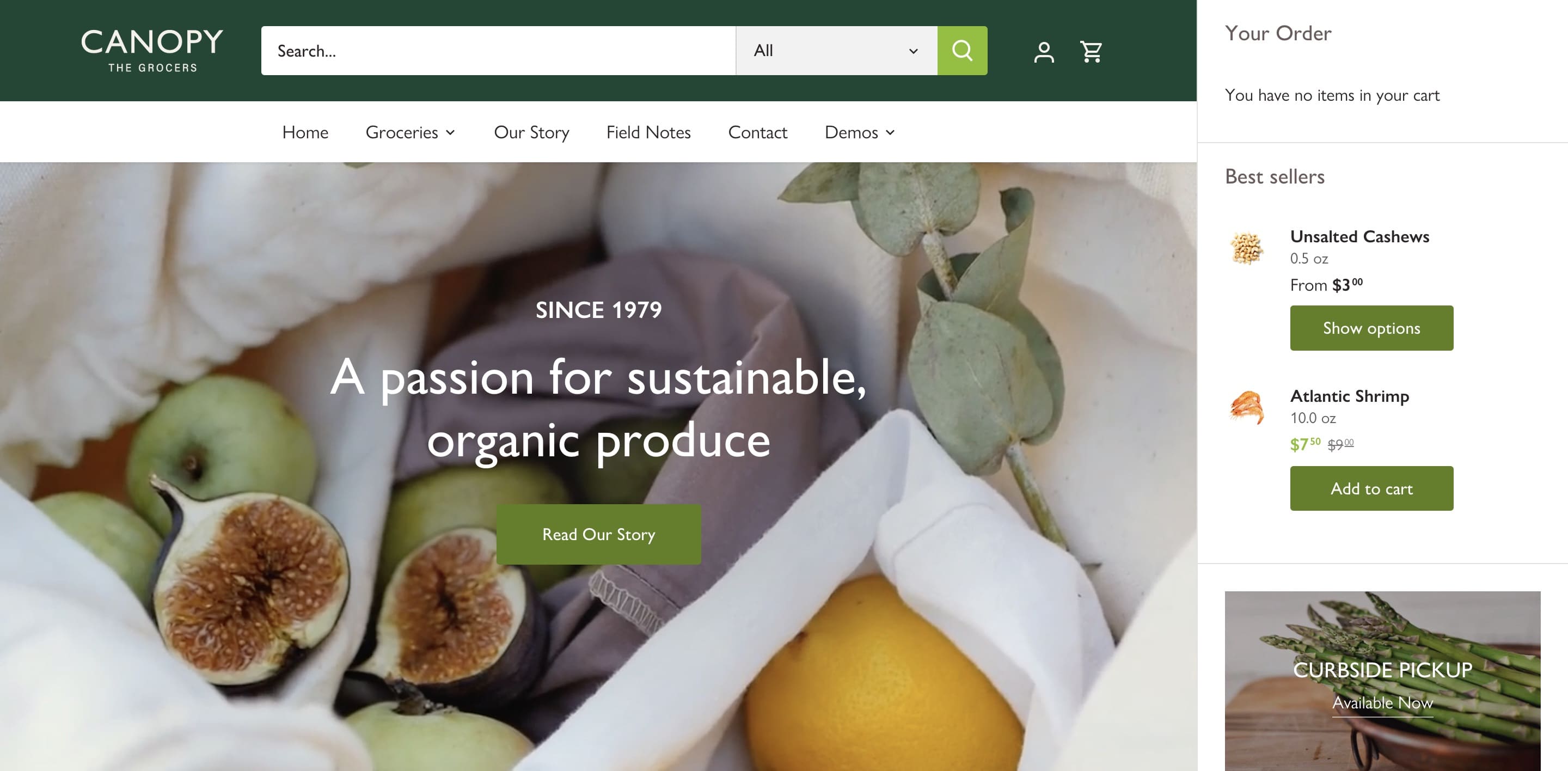 Canopy shopify theme